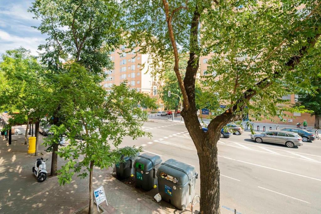 Tranquilo Apartamento En Principe Pio/Pza De Espana Flor Madrid Eksteriør billede